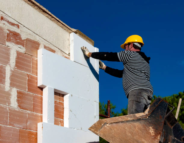 Best Energy-efficient Insulation  in Riverview, MI