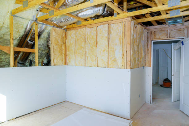 Best Wall Insulation Contractor  in Riverview, MI