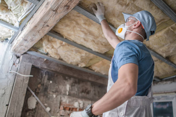 Best Insulation Contractors for Homes  in Riverview, MI