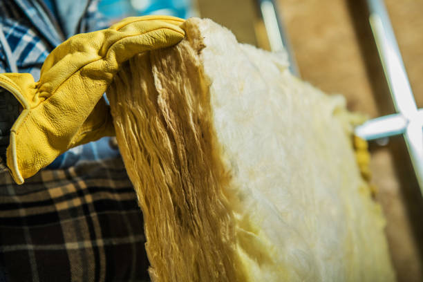 Best Attic Insulation Installation  in Riverview, MI