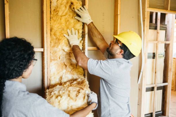 Best Insulation Replacement Services  in Riverview, MI