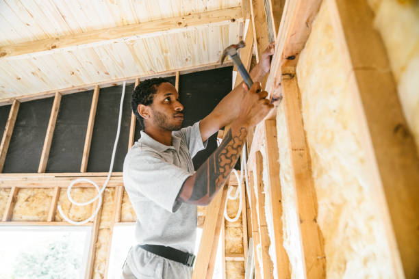 Insulation Inspection Services in Riverview, MI