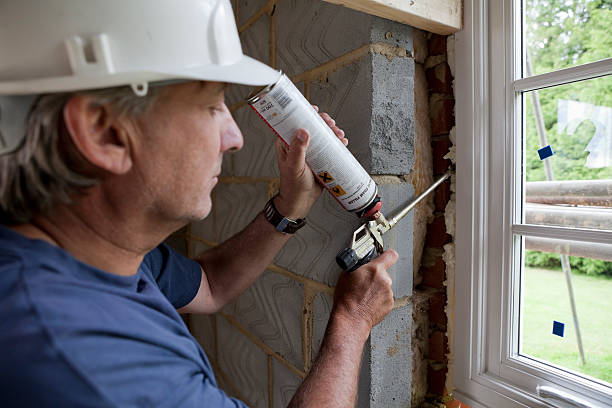 Best Spray Foam Insulation  in Riverview, MI