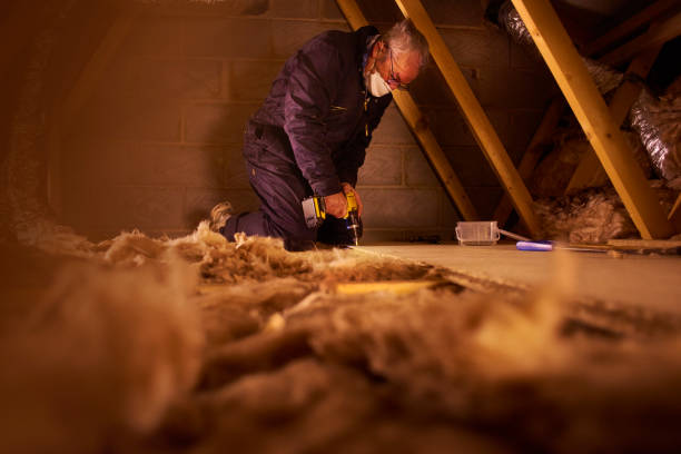 Best Spray Foam Insulation  in Riverview, MI